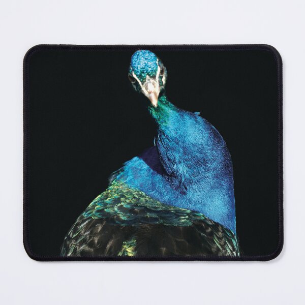 Item preview, Portrait of peacock on black background designed and sold by olena2552.