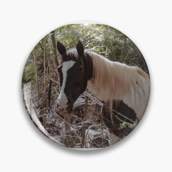 Item preview, Black & White Horse  designed and sold by KE Photo Art.