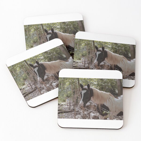 Item preview, Black & White Horse  designed and sold by KE Photo Art.