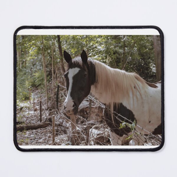 Item preview, Black & White Horse designed and sold by KE Photo Art.