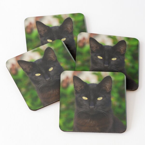 Item preview, The Black Cat Stares designed and sold by TheeForestFox Shop.