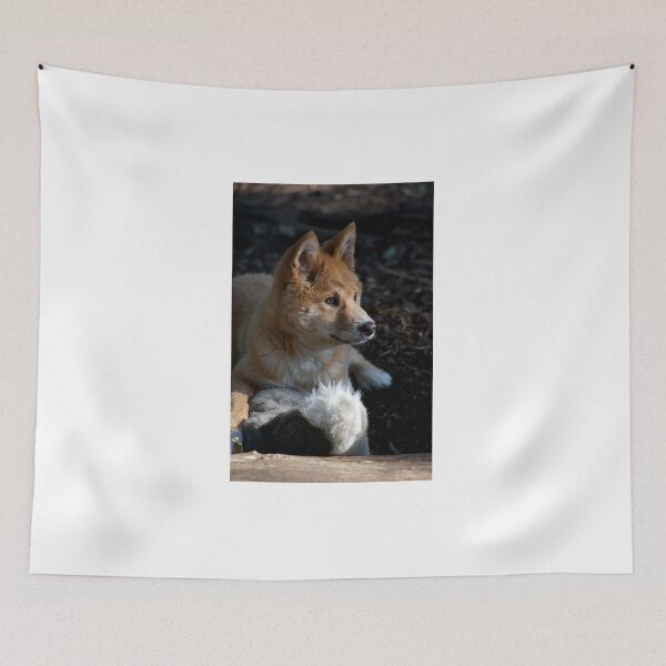 Item preview, Dingo Pup At Play designed and sold by GP1746.