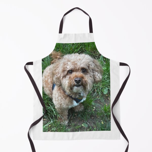 Item preview, Cole designed and sold by BOBBYBABE.