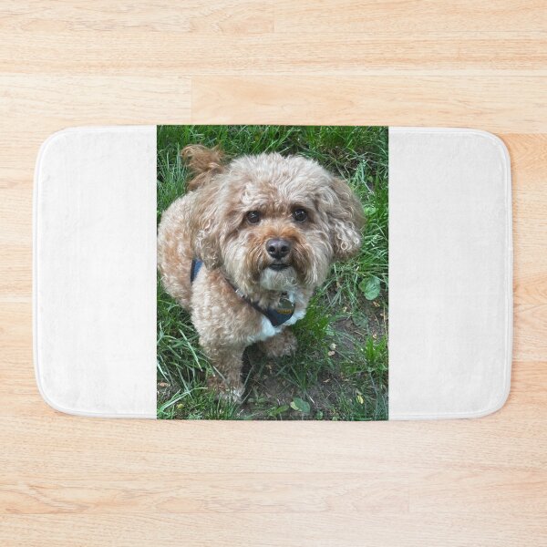 Item preview, Cole designed and sold by BOBBYBABE.