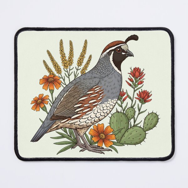 Item preview, Gambel's Quail With Desert Wildflowers Bold Bird Illustration designed and sold by BirdsnStuff.