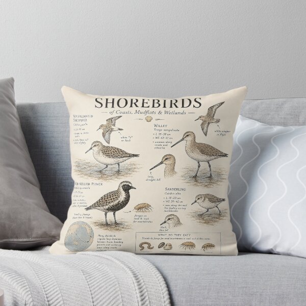 Item preview, Shorebirds of Coasts, Mudflats & Wetlands – Vintage Naturalist Field Guide Illustration designed and sold by DiamondSkyShirt.