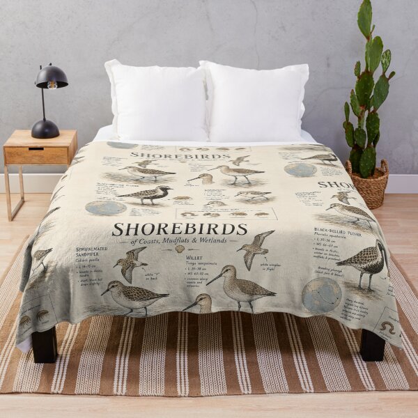 Item preview, Shorebirds of Coasts, Mudflats & Wetlands – Vintage Naturalist Field Guide Illustration designed and sold by DiamondSkyShirt.