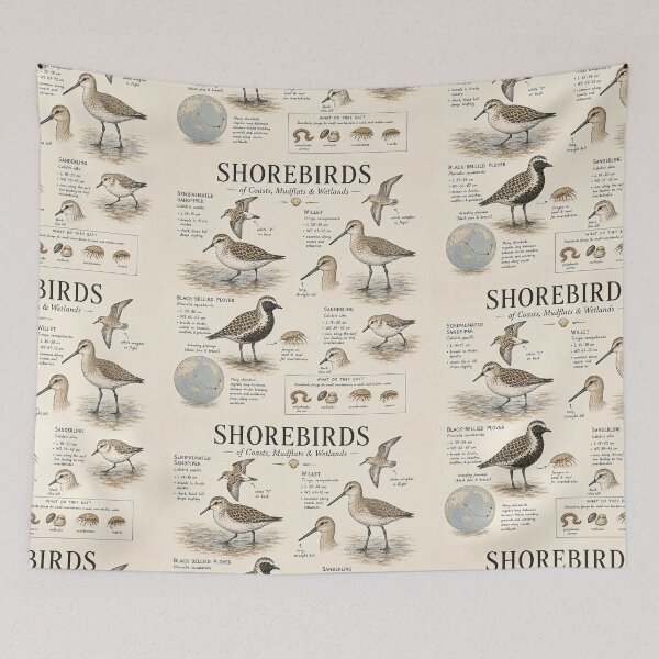 Item preview, Shorebirds of Coasts, Mudflats & Wetlands – Vintage Naturalist Field Guide Illustration designed and sold by DiamondSkyShirt.