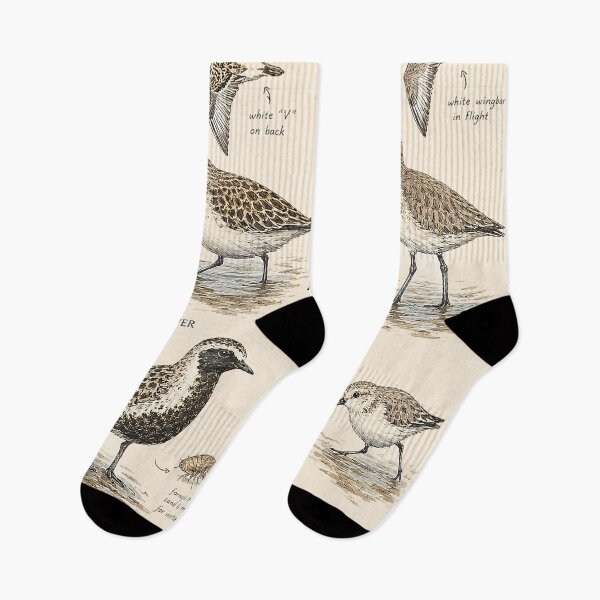 Item preview, Shorebirds of Coasts, Mudflats & Wetlands – Vintage Naturalist Field Guide Illustration designed and sold by DiamondSkyShirt.