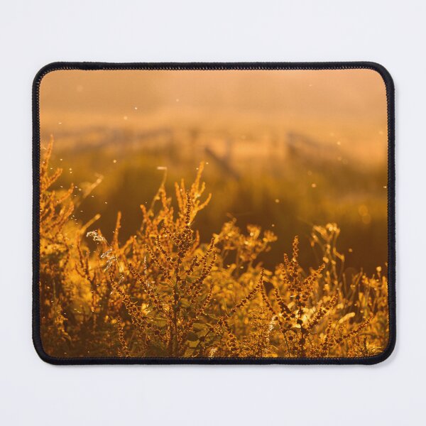 Item preview, Golden Morning Glow designed and sold by Mutezone.