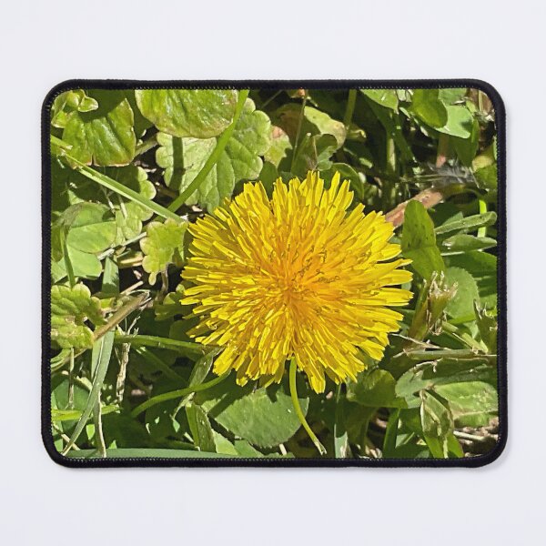 Item preview, Dandelion Love designed and sold by Abeink1030.