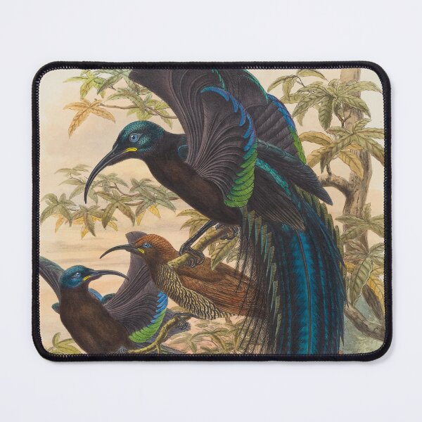 Item preview, LONG TAIL BIRDS designed and sold by THE GOOD FIND.