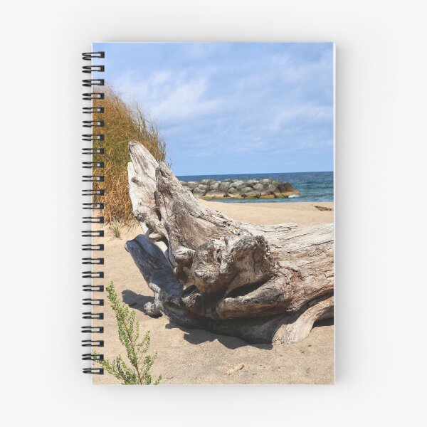 Item preview, Driftwood on beach designed and sold by kenkortner.