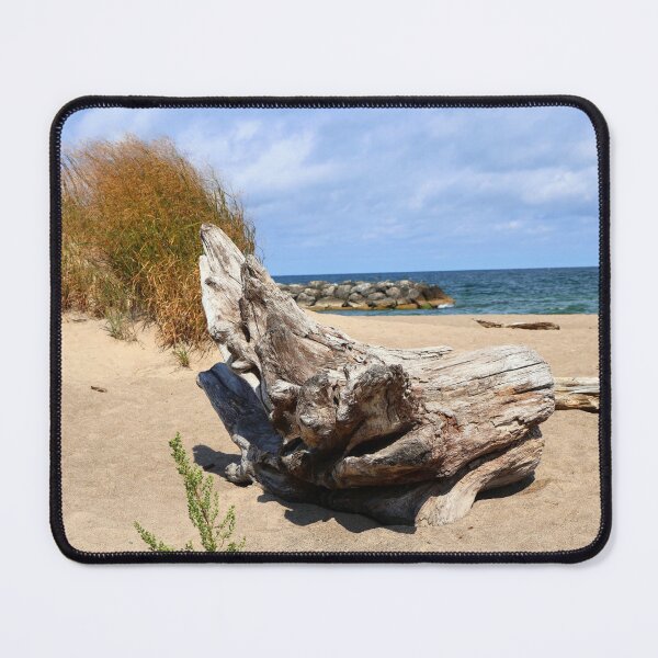 Item preview, Driftwood on beach designed and sold by kenkortner.