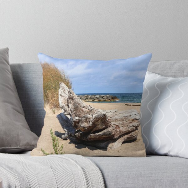 Item preview, Driftwood on beach designed and sold by kenkortner.