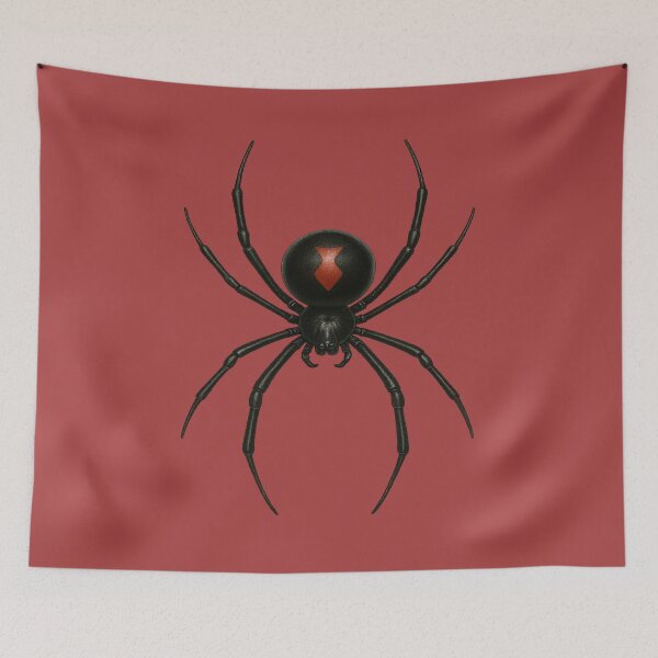 Item preview, Black Widow Spider – High-Resolution Transparent Illustration designed and sold by BB Design Garage.