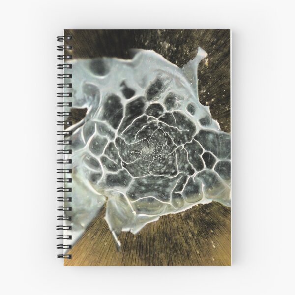 Item preview, Resumen (188) Explosión en vidrio (1) designed and sold by Larry Davis.
