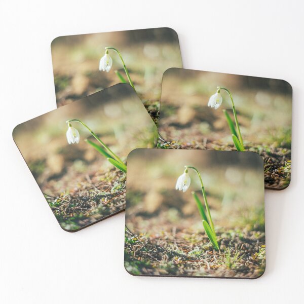 Item preview, A snowdrop in the sun designed and sold by LeSiPhoto.