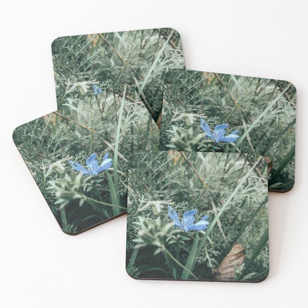 Item preview, Blue flower in the tall grass designed and sold by LeSiPhoto.