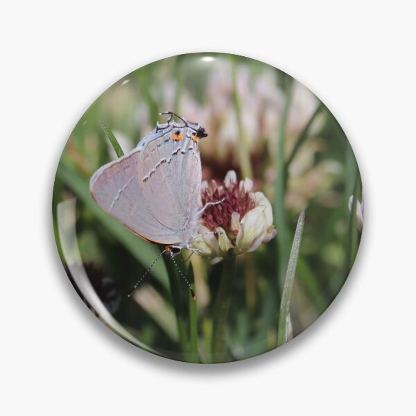 Item preview, Gary hairstreak on some clover flowers  designed and sold by WolfRaven Creations.