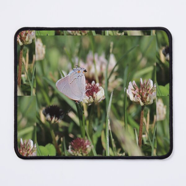 Item preview, Gary hairstreak on some clover flowers  designed and sold by WolfRaven Creations.