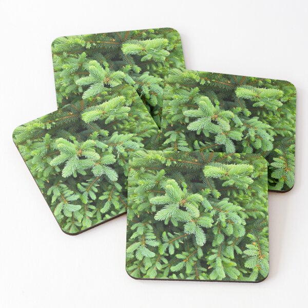 Item preview, Fresh Spruce Sprouts designed and sold by bjtomiko.