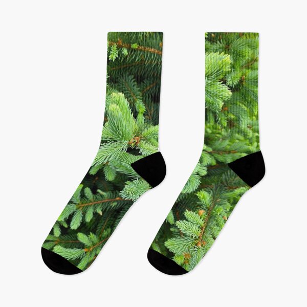 Item preview, Fresh Spruce Sprouts designed and sold by bjtomiko.