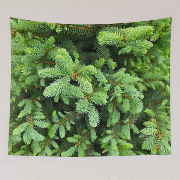 Item preview, Fresh Spruce Sprouts designed and sold by bjtomiko.