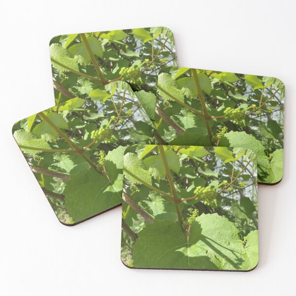 Item preview, Grape Vines with Flower Buds  designed and sold by Amanda1775.