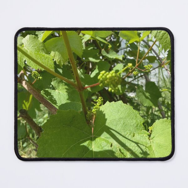 Item preview, Grape Vines with Flower Buds  designed and sold by Amanda1775.