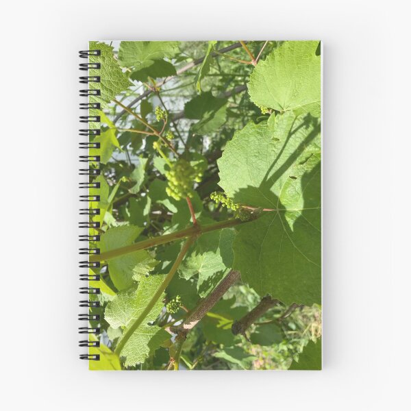 Item preview, Grape Vines with Flower Buds  designed and sold by Amanda1775.