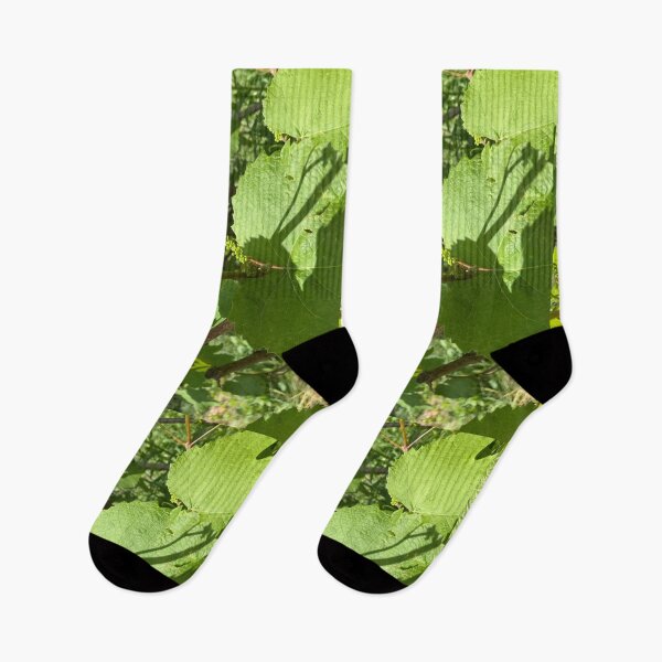 Item preview, Grape Vines with Flower Buds  designed and sold by Amanda1775.