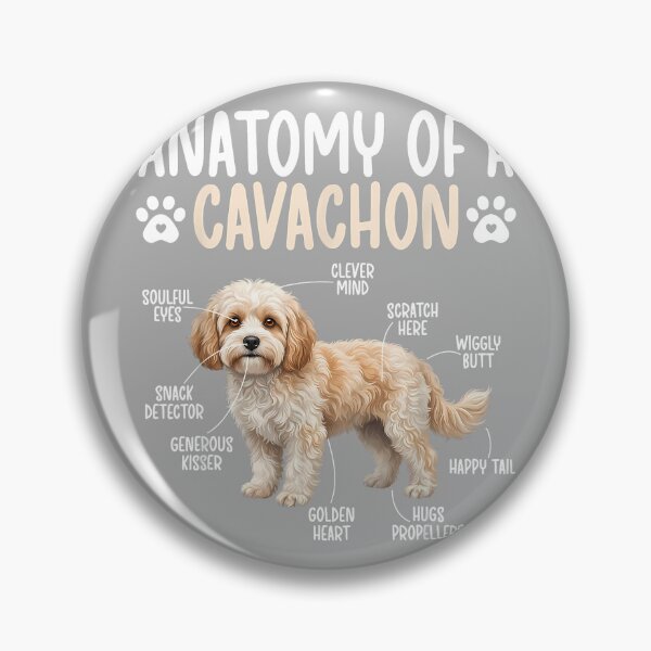 Item preview, Anatomy of A Cavachon Dog Cavachon Owner Cavachon Lover designed and sold by KathieFaugh.