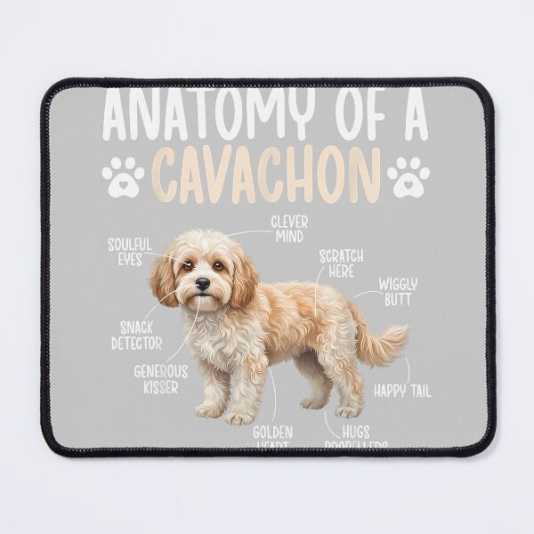 Item preview, Anatomy of A Cavachon Dog Cavachon Owner Cavachon Lover designed and sold by KathieFaugh.