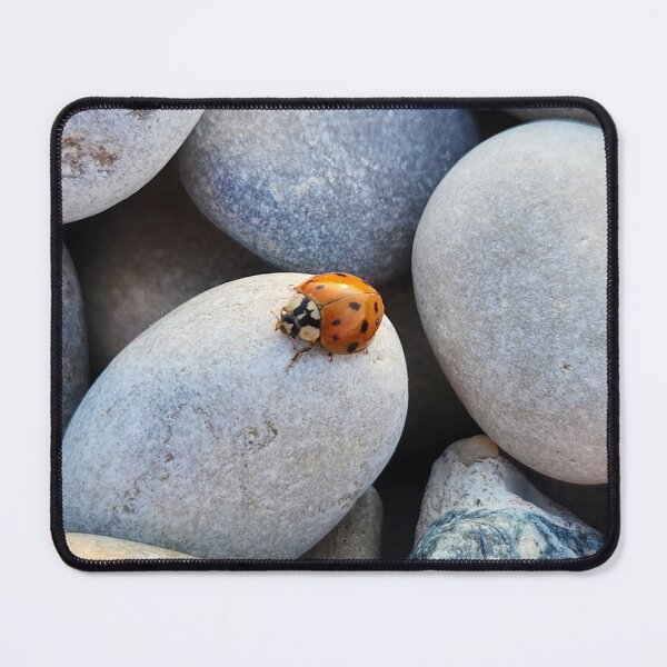 Item preview, Ladybug on a Rock designed and sold by MinaBohl.