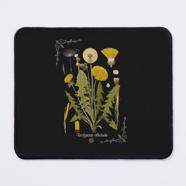 Item preview, Botanical Dandelion Life Cycle Illustration designed and sold by DoodleVerseDark.