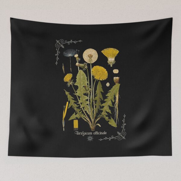 Item preview, Botanical Dandelion Life Cycle Illustration designed and sold by DoodleVerseDark.
