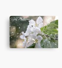Apple tree Metal Print