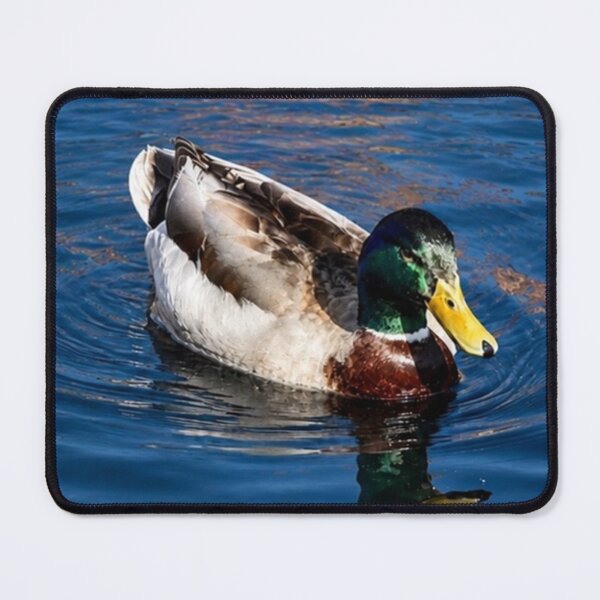 Item preview, Mallard Reflections designed and sold by AutumnLeAnnDesigns.