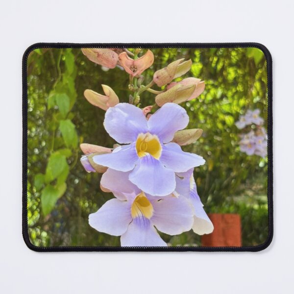 Item preview, Clockvine Roatan Honduras  designed and sold by Donlan-2211.