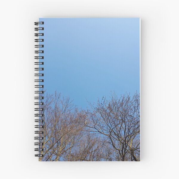 Item preview, Leafless trees in March designed and sold by Dniprianka.
