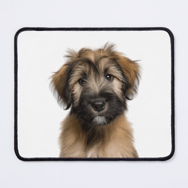 Item preview, Adorable Briard puppy for Cute Berger de Brie puppy lovers designed and sold by LazyOwlStore.
