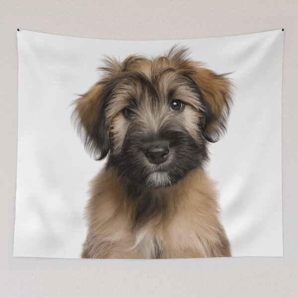 Item preview, Adorable Briard puppy for Cute Berger de Brie puppy lovers designed and sold by LazyOwlStore.