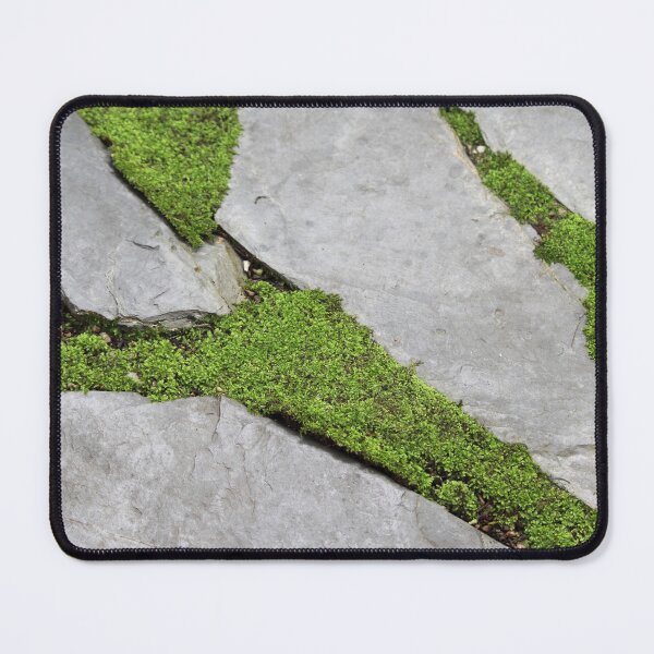 Item preview, Vibrant Green Moss on Grey Stepping Stones designed and sold by 27Tammy27.