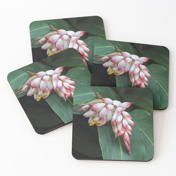 Item preview, Shell Ginger Flower Buds on Green Leaf designed and sold by 27Tammy27.