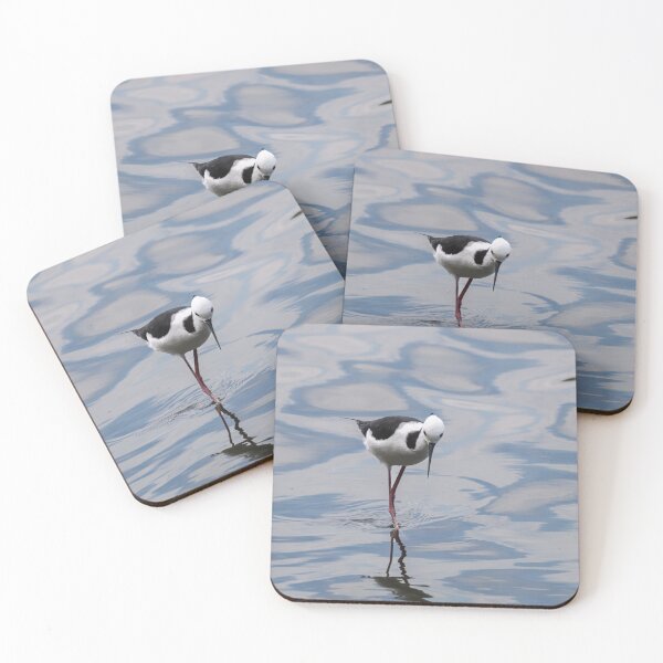Item preview, Black-Winged Stilt in Water designed and sold by Jan Fijolek.