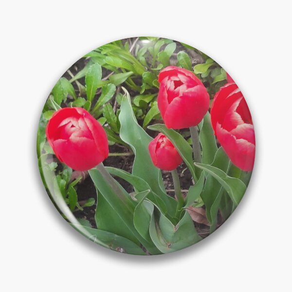Item preview, Red Tulips  designed and sold by PhotosByJG.
