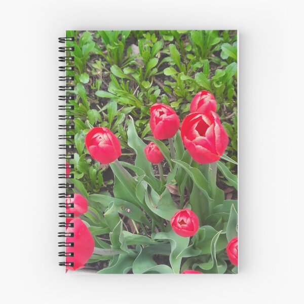 Item preview, Red Tulips  designed and sold by PhotosByJG.