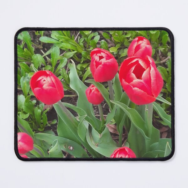 Item preview, Red Tulips  designed and sold by PhotosByJG.