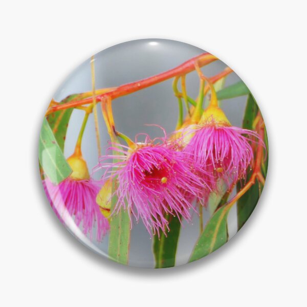 Item preview, Australian Native Flowering Gum With Pink Blossoms designed and sold by jaynerushton.